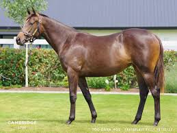 Image result for heiss tehron