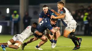 Image result for Edinburgh Bats Rugby