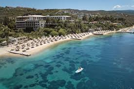 Image result for Palace Eagles Octopush Club