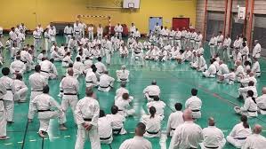Image result for Haslemere Karate Club