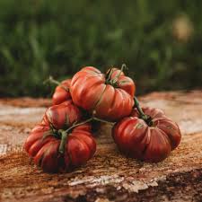 Afbeeldingsresultaat voor debarro black tomato