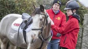 Image result for Riding For The Disabled Association