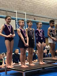 Image result for WALSALL GYMNASTICS CLUB