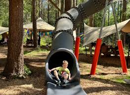 Image result for Go Ape! Alice Holt