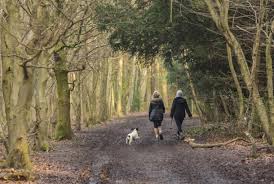 Image result for Box Hill SC