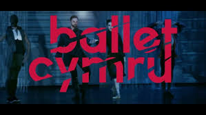 Image result for Basingstoke Bullets