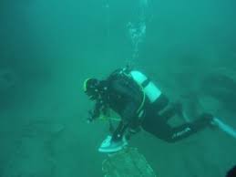 Image result for Lutterworth Sub-Aqua Club