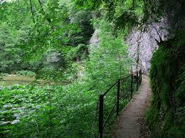 Image result for vallorbe tehron