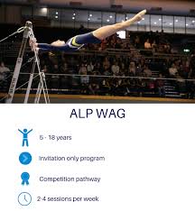 Image result for Aerodyne Gymnastics Club