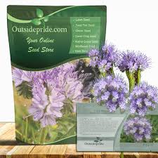 Image result for Phacelia