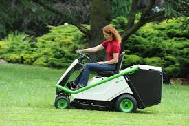 Image result for etesia tehron