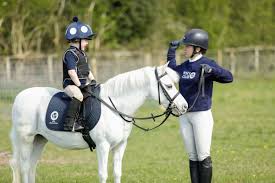 Image result for Chiddingfold Branch Of The Pony Club