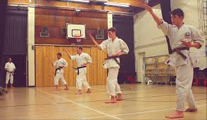 Image result for Kenshukai Karate