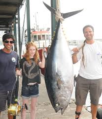 Image result for Thunnus obesus