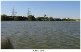 Image result for Diggle Angling Club