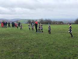 Image result for Haresfinch Amateur Rugby League Football Club