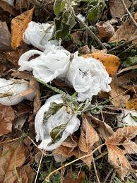 Attēlu rezultāti vaicājumam “Frost Flowers”
