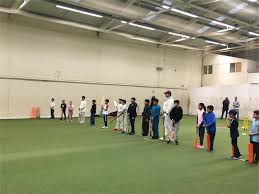 Image result for Sheffield United Cc