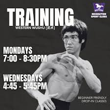 Image result for Dragon Wushu Club