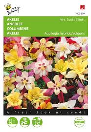 Image result for Akelei