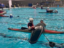 Image result for Viking Canoe Polo Club