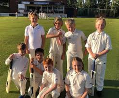 Image result for Brymbo Cricket Club