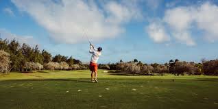 Image result for Roebuck Bowling Club