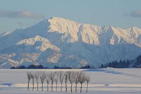小羽　貝谷에 대한 이미지 검색결과