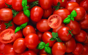 Image result for Tomate