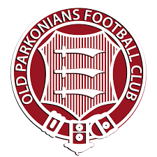 Image result for Old Wokingians Football Club