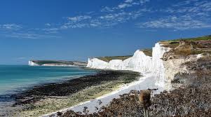 Image result for Eastbourne Edge Senior