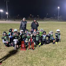 Image result for Hedingham Hawks Youth Football Club