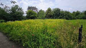 Image result for Heemtuin Rucphen