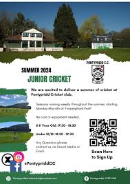 Image result for Pontypridd Cricket Club