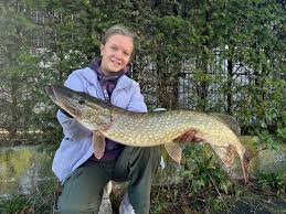 Image result for vissen