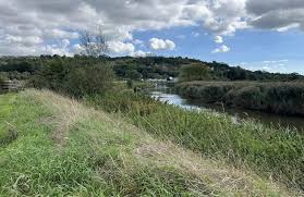 Image result for Midhurst Milers