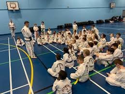 Image result for English International Allstyles Taekwon-Do