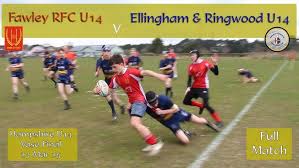 Image result for Ellingham and Ringwood Rfc
