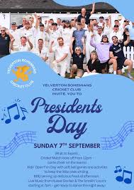 Image result for Yelverton Bohemians Cricket Club