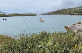 Image result for Derrynane