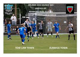 Image result for Tow Law F C