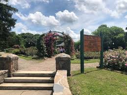 Image result for Thorn Park L T C