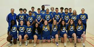 Image result for Deva Handball Club