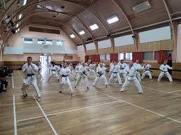 Image result for Fife Shotokan Karate Club