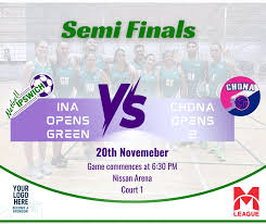 Image result for Civil Service (Ipswich) Netball Club