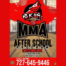 Image result for Okami Karate & Fitness Schools
