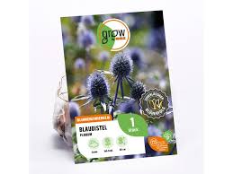 Image result for Blaudistel