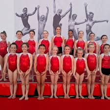 Image result for City Of Newcastle Gymnastics Academy