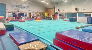 Image result for Waterside Gymnastics Club