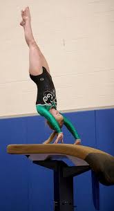 Image result for Angmering Gymnastics